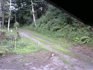 長野県菅平高原 ゆたか山荘 東側(坂下) 2025/07/29 17:00