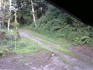 長野県菅平高原 ゆたか山荘 東側(坂下) 2025/07/29 17:30