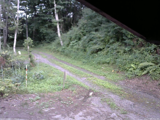 長野県菅平高原 ゆたか山荘 東側(坂下) 2025/07/29 17:45