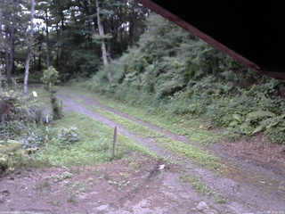 長野県菅平高原 ゆたか山荘 東側(坂下) 2025/07/29 18:30