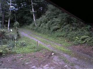 長野県菅平高原 ゆたか山荘 東側(坂下) 2025/07/29 19:00