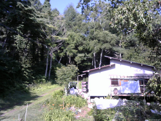 長野県菅平高原 ゆたか山荘 西側(坂上) 2025/07/29 08:00