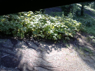 長野県菅平高原 ゆたか山荘 駐車場 2025/07/29 07:15