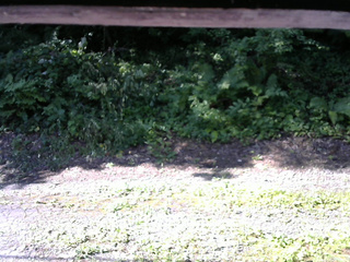 長野県菅平高原 ゆたか山荘 南側 2025/07/30 08:00