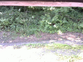 長野県菅平高原 ゆたか山荘 南側 2025/07/30 08:45