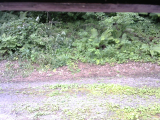 長野県菅平高原 ゆたか山荘 南側 2025/07/30 09:45