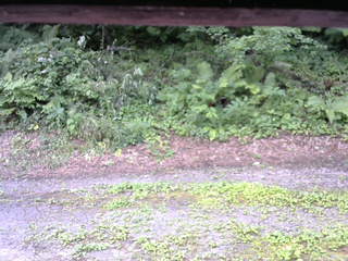 長野県菅平高原 ゆたか山荘 南側 2025/07/30 10:15