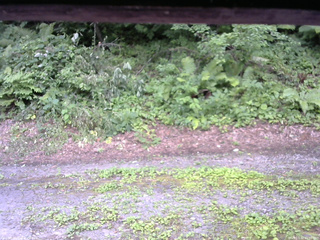 長野県菅平高原 ゆたか山荘 南側 2025/07/30 11:00