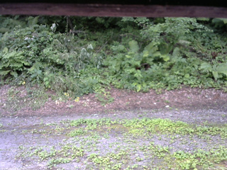 長野県菅平高原 ゆたか山荘 南側 2025/07/30 12:00