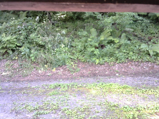 長野県菅平高原 ゆたか山荘 南側 2025/07/30 14:15