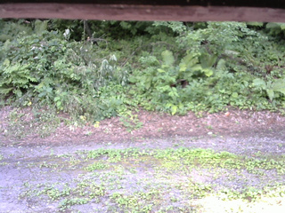 長野県菅平高原 ゆたか山荘 南側 2025/07/30 14:45