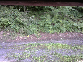 長野県菅平高原 ゆたか山荘 南側 2025/07/30 15:45