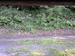 長野県菅平高原 ゆたか山荘 南側 2025/07/30 16:00