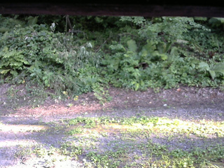 長野県菅平高原 ゆたか山荘 南側 2025/07/30 16:45