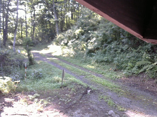 長野県菅平高原 ゆたか山荘 東側(坂下) 2025/07/30 07:00