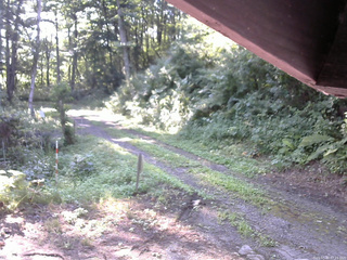 長野県菅平高原 ゆたか山荘 東側(坂下) 2025/07/30 07:15