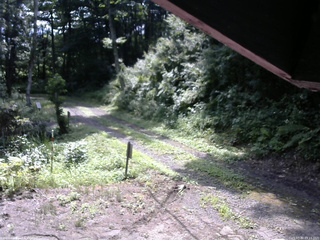 長野県菅平高原 ゆたか山荘 東側(坂下) 2025/07/30 09:15