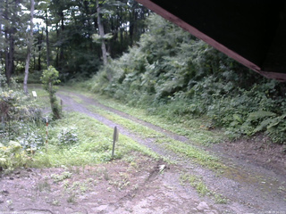 長野県菅平高原 ゆたか山荘 東側(坂下) 2025/07/30 09:30