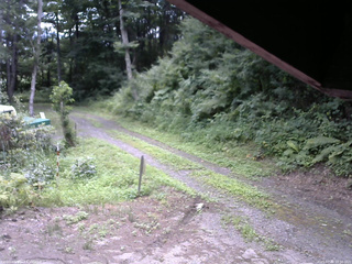 長野県菅平高原 ゆたか山荘 東側(坂下) 2025/07/30 10:30