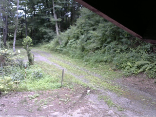 長野県菅平高原 ゆたか山荘 東側(坂下) 2025/07/30 11:15