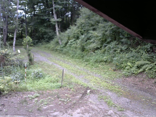 長野県菅平高原 ゆたか山荘 東側(坂下) 2025/07/30 11:30