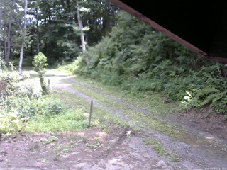 長野県菅平高原 ゆたか山荘 東側(坂下) 2025/07/30 12:15