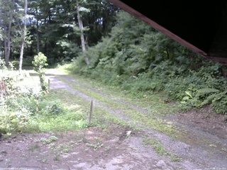 長野県菅平高原 ゆたか山荘 東側(坂下) 2025/07/30 12:45