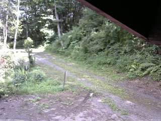 長野県菅平高原 ゆたか山荘 東側(坂下) 2025/07/30 13:30