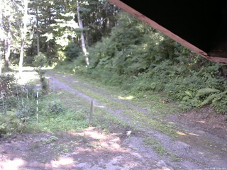 長野県菅平高原 ゆたか山荘 東側(坂下) 2025/07/30 14:30