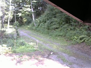 長野県菅平高原 ゆたか山荘 東側(坂下) 2025/07/30 15:00