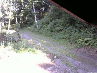 長野県菅平高原 ゆたか山荘 東側(坂下) 2025/07/30 15:30