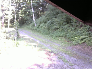 長野県菅平高原 ゆたか山荘 東側(坂下) 2025/07/30 15:45