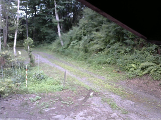 長野県菅平高原 ゆたか山荘 東側(坂下) 2025/07/30 17:00