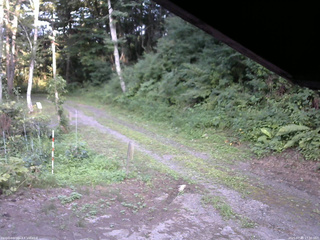 長野県菅平高原 ゆたか山荘 東側(坂下) 2025/07/30 17:30