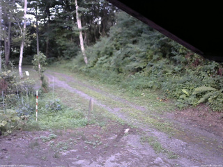 長野県菅平高原 ゆたか山荘 東側(坂下) 2025/07/30 18:00