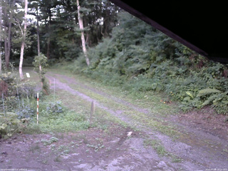 長野県菅平高原 ゆたか山荘 東側(坂下) 2025/07/30 18:15