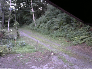 長野県菅平高原 ゆたか山荘 東側(坂下) 2025/07/30 18:45