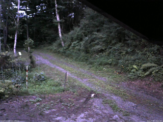 長野県菅平高原 ゆたか山荘 東側(坂下) 2025/07/30 19:00