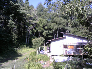 長野県菅平高原 ゆたか山荘 西側(坂上) 2025/07/30 08:00