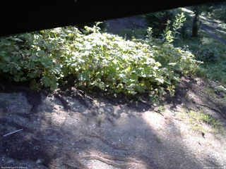 長野県菅平高原 ゆたか山荘 駐車場 2025/07/30 07:30