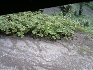 長野県菅平高原 ゆたか山荘 駐車場 2025/07/30 09:00
