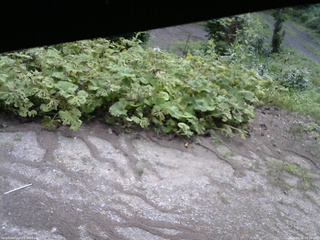 長野県菅平高原 ゆたか山荘 駐車場 2025/07/30 09:30