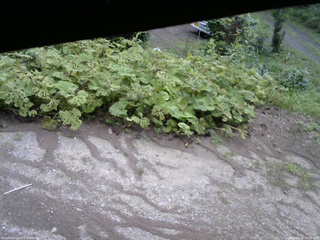 長野県菅平高原 ゆたか山荘 駐車場 2025/07/30 09:45