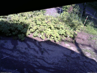 長野県菅平高原 ゆたか山荘 駐車場 2025/07/30 15:45
