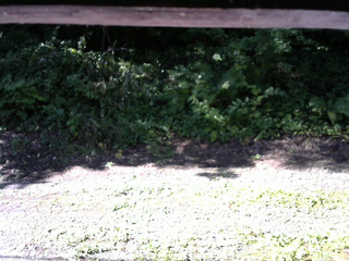 長野県菅平高原 ゆたか山荘 南側 2025/07/31 08:00