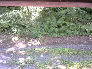 長野県菅平高原 ゆたか山荘 南側 2025/07/31 11:00