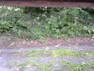 長野県菅平高原 ゆたか山荘 南側 2025/07/31 12:00