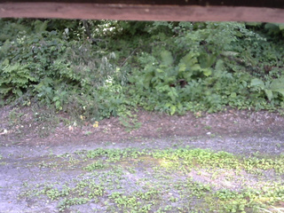 長野県菅平高原 ゆたか山荘 南側 2025/07/31 14:15