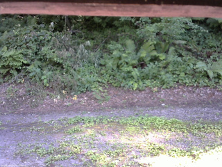 長野県菅平高原 ゆたか山荘 南側 2025/07/31 14:45