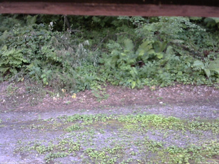 長野県菅平高原 ゆたか山荘 南側 2025/07/31 15:30